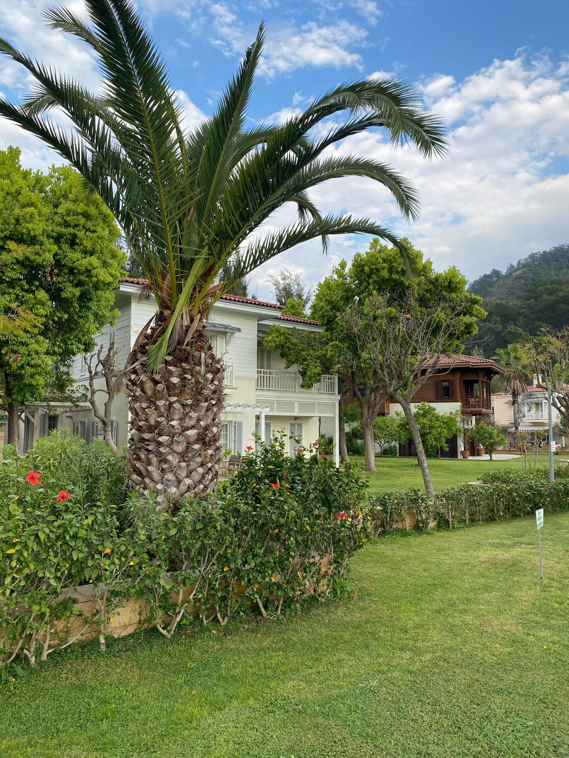 Elegant white villa with palm trees and vibrant garden, perfect tropical getaway.