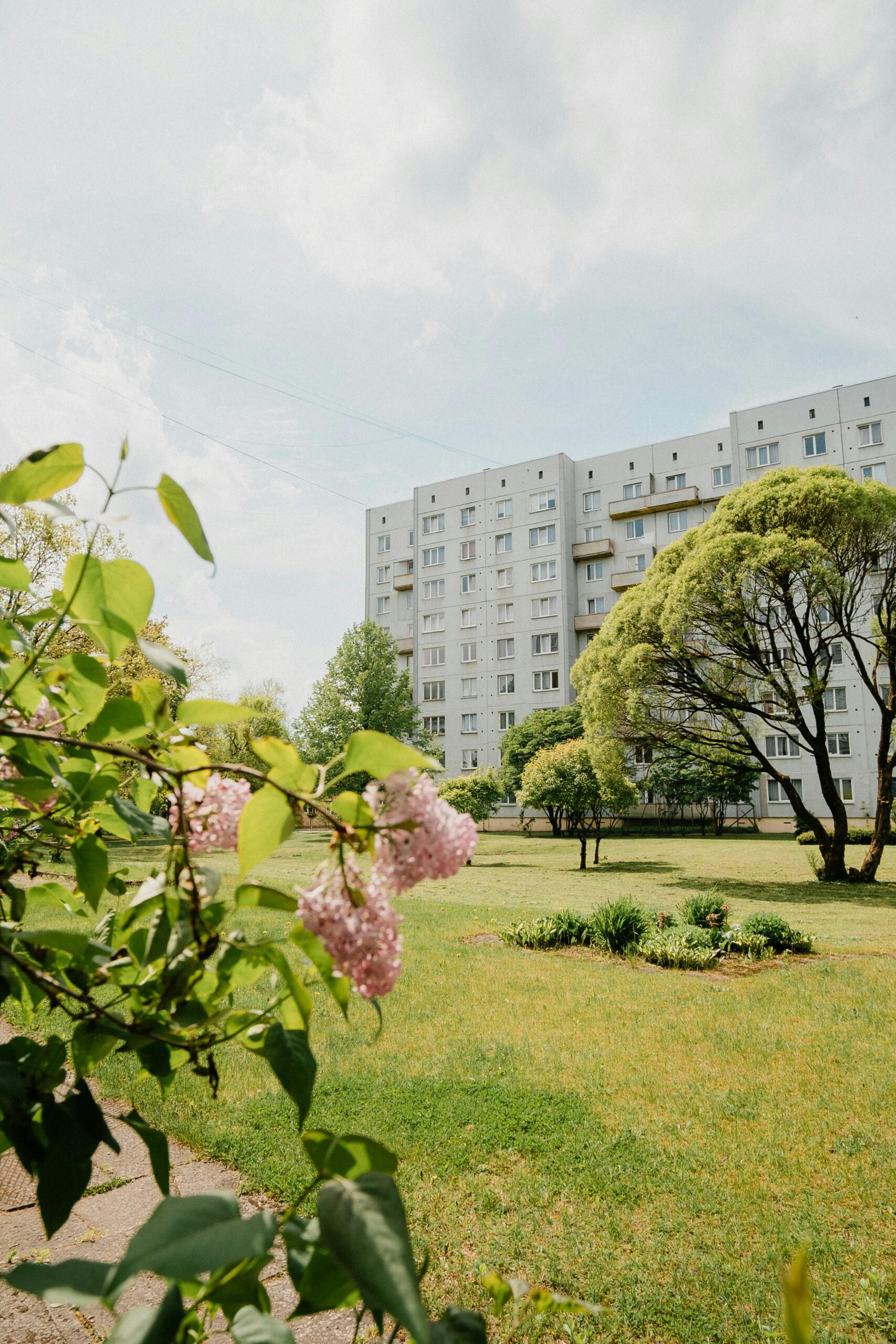 A serene view of a residential building with blooming lilacs in the foreground during springtime.
