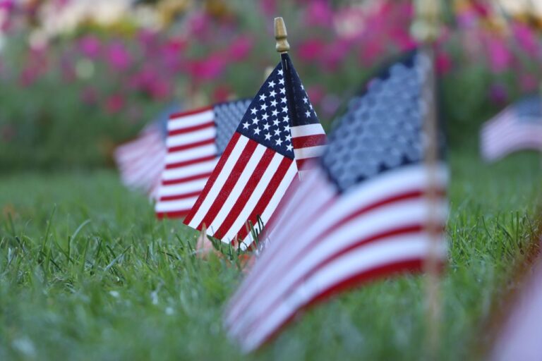 Rows of small American flags on lush grass, symbolizing patriotism in a serene outdoor setting.